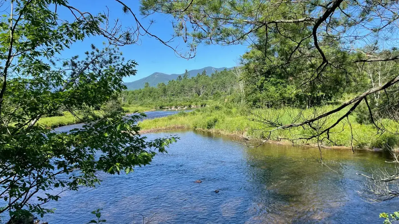 The AuSable River running shallow over gravel through the Town of Jay on a clear summer day, with the High Peaks rising beyond the treeline